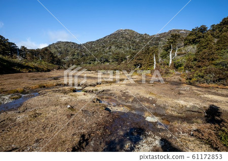 Yakushima Hanayugawa Yakushima Hanayugawa 61172853