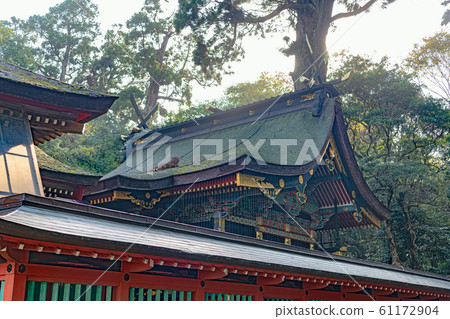 Kashima Shrine Main Hall 61172904