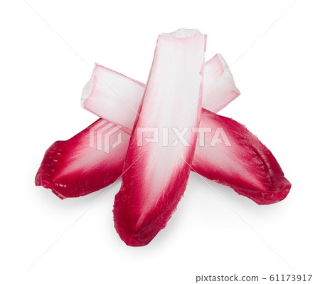 red chicory or radicchio leaves isolated on white background red chicory or radicchio leaves isolated on white background 61173917