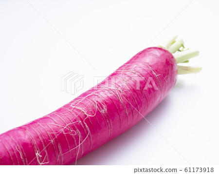 Salad radish Salad radish 61173918