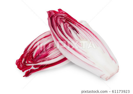 red chicory or radicchio isolated on white background red chicory or radicchio isolated on white background 61173923