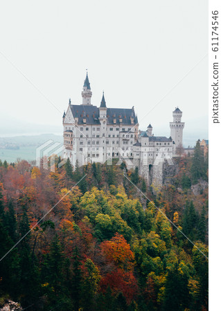 Landscape picture of Neuschwanstein castle near Munich in Bavaria, Germany in Autumn with colorful trees 61174546