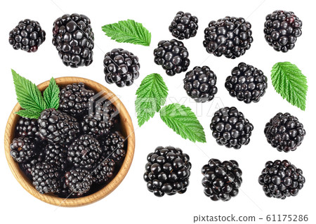 blackberry with leaf in wooden bowl isolated on a white background closeup blackberry with leaf in wooden bowl isolated on a white background closeup 61175286