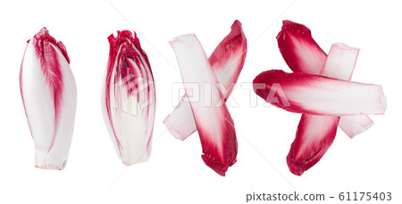 red chicory or radicchio isolated on white background. Top view. Flat lay 61175403