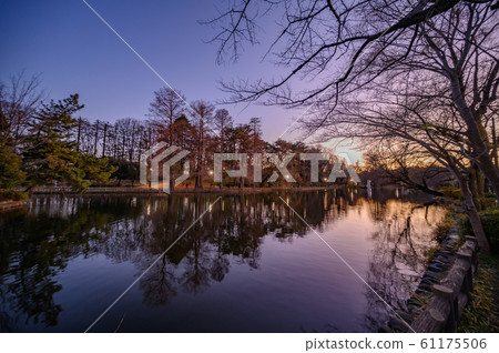 尺k池日落 61175506