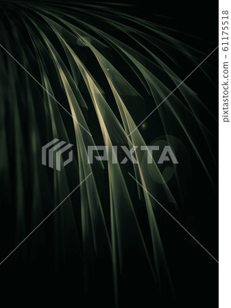 Abstract feather close-up Abstract feather close-up 61175518