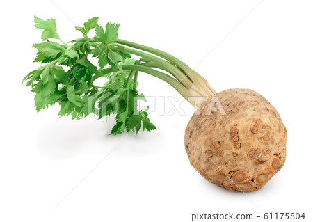 Fresh celery root with leaf isolated on white background 61175804