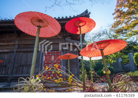 Kitain temple umbrella festival Kawagoe-shi, Saitama Kitain temple umbrella festival Kawagoe-shi, Saitama 61176389