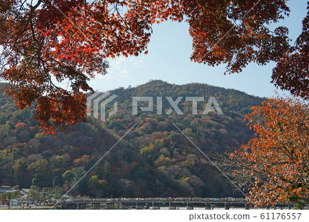 嵐山秋葉 61176557