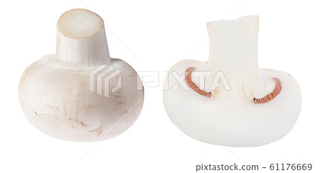 half of Fresh mushroom champignon isolated on white background with clipping path 61176669