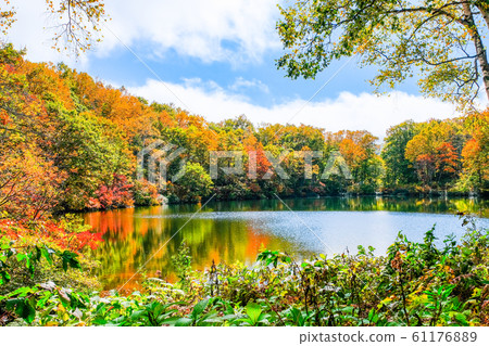 Autumn leaves at Myoko / Sennin Pond 61176889