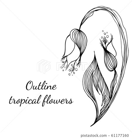 Outline hand drawn tropical flowers. Retro flowers 61177160