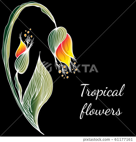 Flat hand drawn tropical flowers isolated on black 61177161