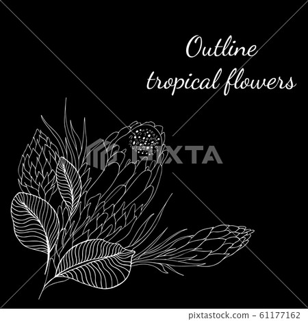 Outline hand drawn tropical flowers. Retro flowers 61177162