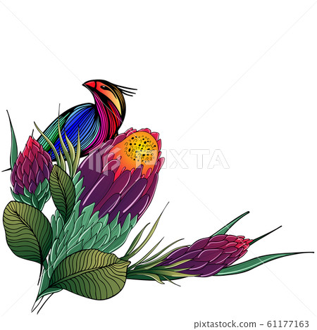 Colorful flat hand drawn tropical flowers and bird 61177163