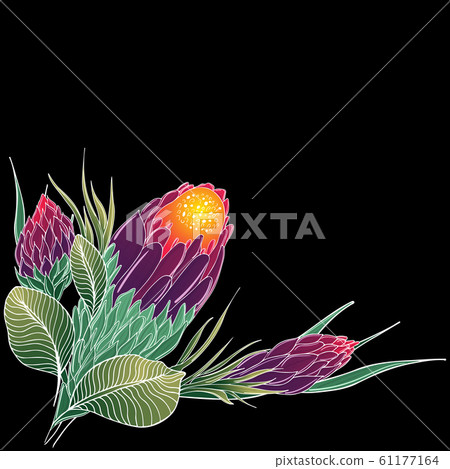 Flat hand drawn tropical flowers isolated on black 61177164