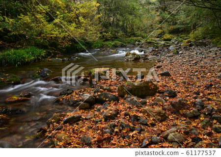 Late autumn scenery of the Niyodo River tributary in Niyodogawa Town, Kochi Prefecture Late autumn scenery of the Niyodo River tributary in Niyodogawa Town, Kochi Prefecture 61177537