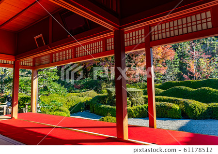 Shiga Prefecture Oike Temple in autumn colors 61178512
