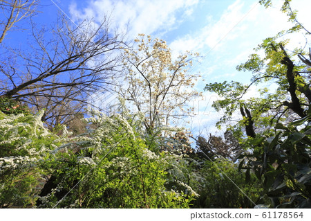 春天風景 春天風景 61178564