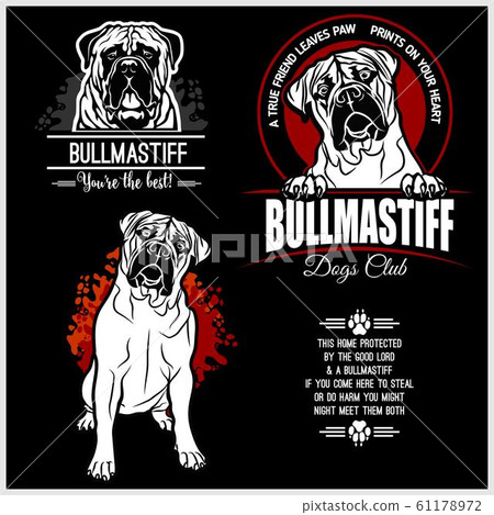 Bullmastiff dog - vector set for t-shirt, logo... - Stock Illustration ...