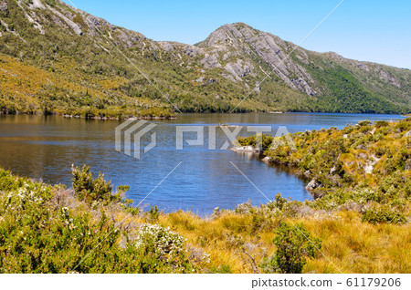 Dove Lake - Cradle Mountain 61179206