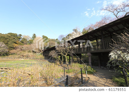Mainsoji Temple Matsudo City, Chiba Prefecture 61179351