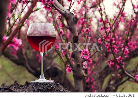 Wineglass with red wine at the peach tree garden Wineglass with red wine at the peach tree garden 61185361