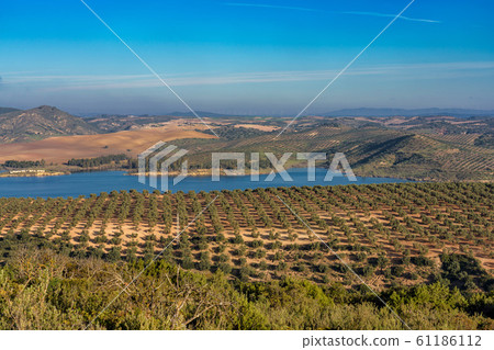 Lake Embalse del Guadalhorce, Ardales Reservoir, Malaga, Andalusia, Spain Lake Embalse del Guadalhorce, Ardales Reservoir, Malaga, Andalusia, Spain 61186112