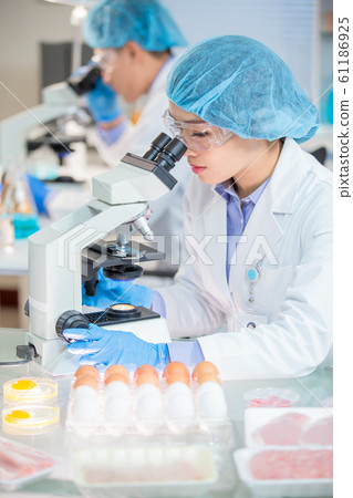 Food Safety Concept 61186925