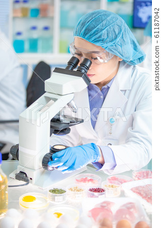 Food Science Concept Food Science Concept 61187042