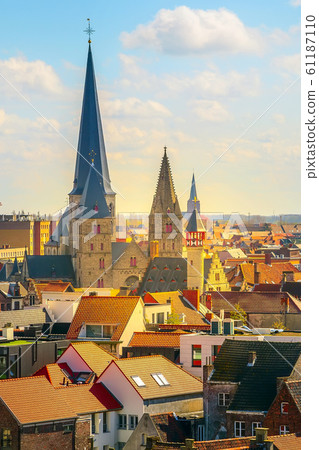 Aerial view of Ghent with cathedral tower, Belgium 61187110