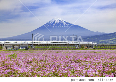 靜岡縣富士市中里市的富士山，蓮花田和新幹線 61187236