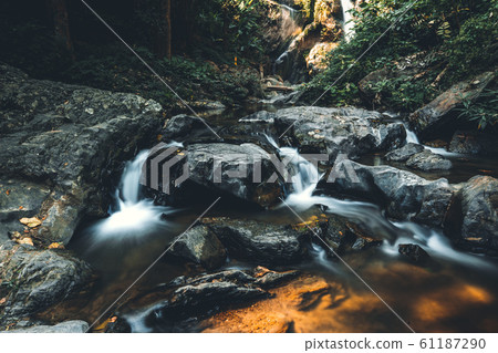 River in nature in the morning 61187290