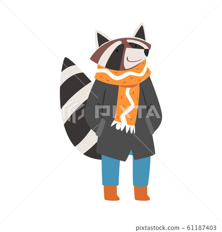 Raccoon Wearing Warm Jacket, Scarf and Jeans, Humanized Forest Animal Character in Winter Clothes Cartoon Vector illustration 61187403