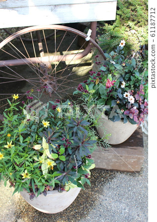 Gardening mousetrap 61187712