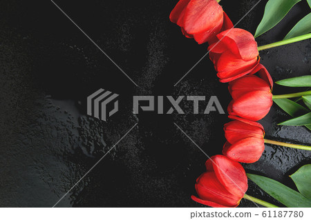 Fresh red tulips on black background. A bouquet of spring flowers, Beautiful greeting card. Fresh red tulips on black background. A bouquet of spring flowers, Beautiful greeting card. 61187780