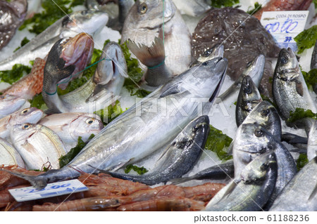 various sea fish exposed to the fish market 61188236