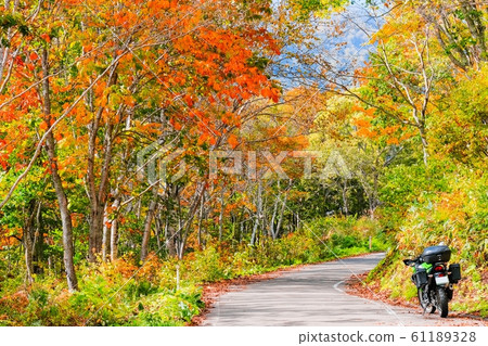 Touring (autumn leaves) 61189328