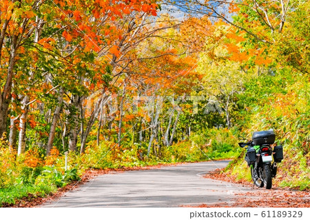 Touring (autumn leaves) 61189329