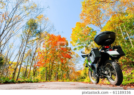 Touring (autumn leaves) 61189336