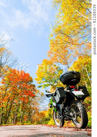 Touring (autumn leaves) Touring (autumn leaves) 61189339