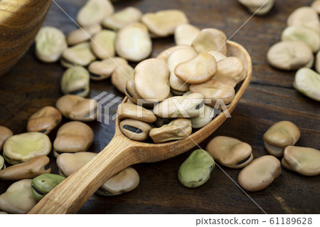 dry broad beans in a spoon dry broad beans in a spoon 61189628