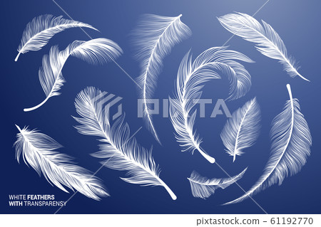 fly vector clipart collections