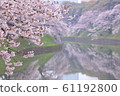 Chidorigafuchi的櫻花 61192800