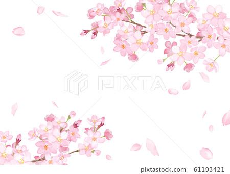 Spring flowers: cherry blossom and falling petals frame watercolor illustration trace vector Spring flowers: cherry blossom and falling petals frame watercolor illustration trace vector 61193421