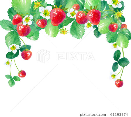 Strawberry arched frame, watercolor illustration 61193574