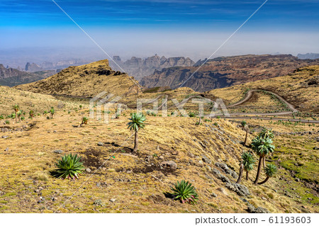 Semien or Simien Mountains, Ethiopia 61193603