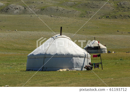 Mongolian Yurts in the Gobi Desert, Mongolia 61193712