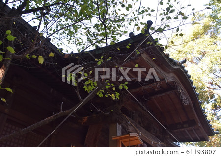 小田原愛宕神社大成原市 61193807
