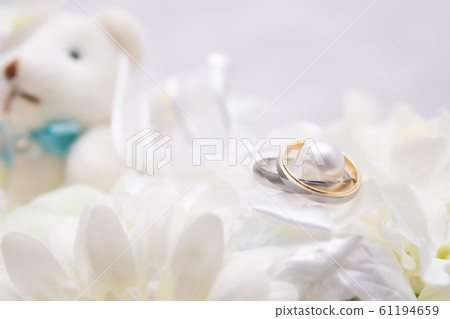 在戒指枕頭上的兩個結婚戒指 61194659